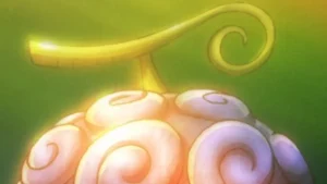 Todos deixaram passar uma fruta demoníaca perfeitamente desenhada no volume 20 de One Piece