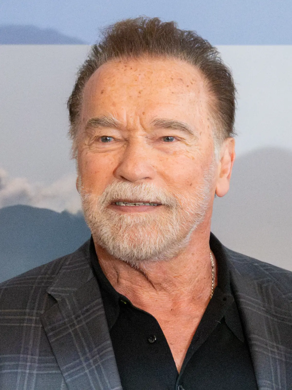 Arnold Schwarzenegger filma "The Kellys" em Budapeste com Liam Hemsworth