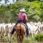Barretos 2026 reúne shows com Gusttavo Lima, Ana Castela e Alok em 71ª edição