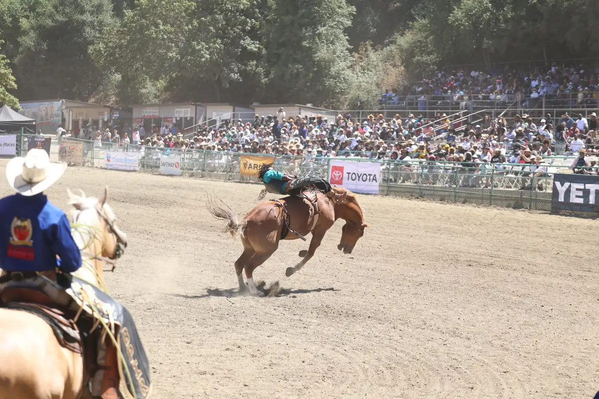 Modern rodeo arena with LED screens and crowded stands, visitors filling the bleachers under floodlights, energy and anticipation visible