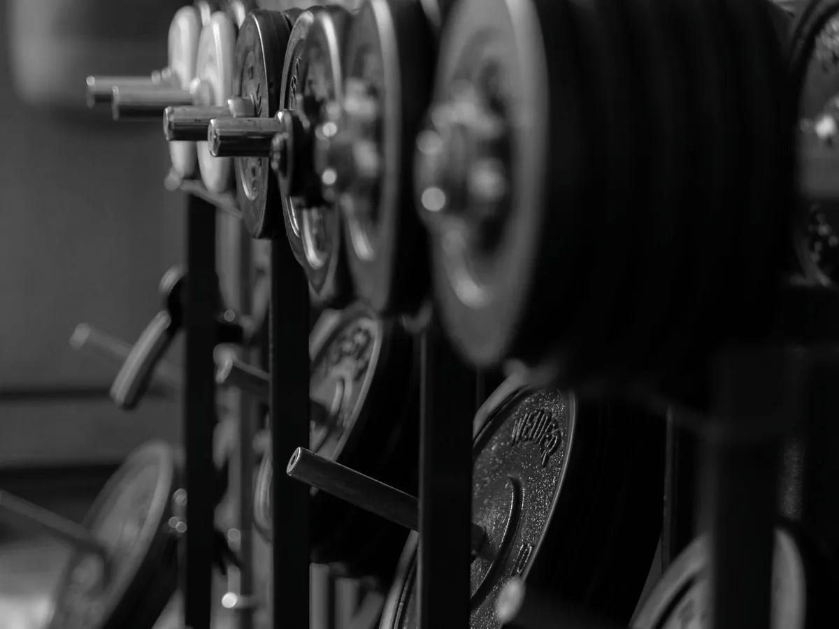 Gym dumbbells and weights in close-up