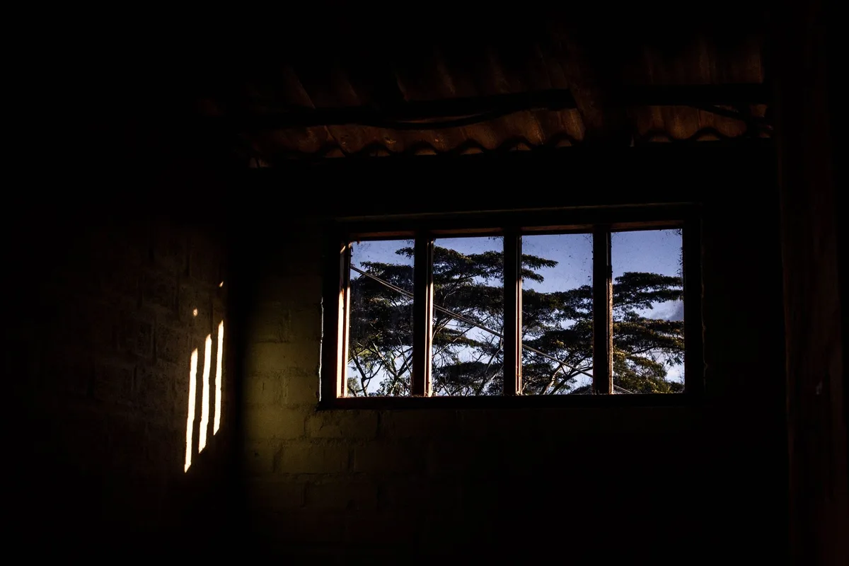 A sunlit room with a view of trees through large windows, two glasses on a table, a sense of peaceful intimacy and timeless connection between generations.
