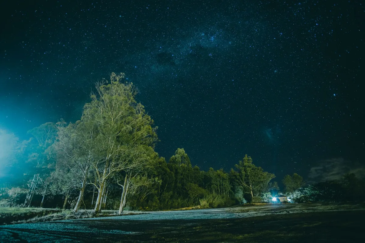 Two silhouettes standing together under starlight in a rural landscape, expressing connection and wonder at a shared moment