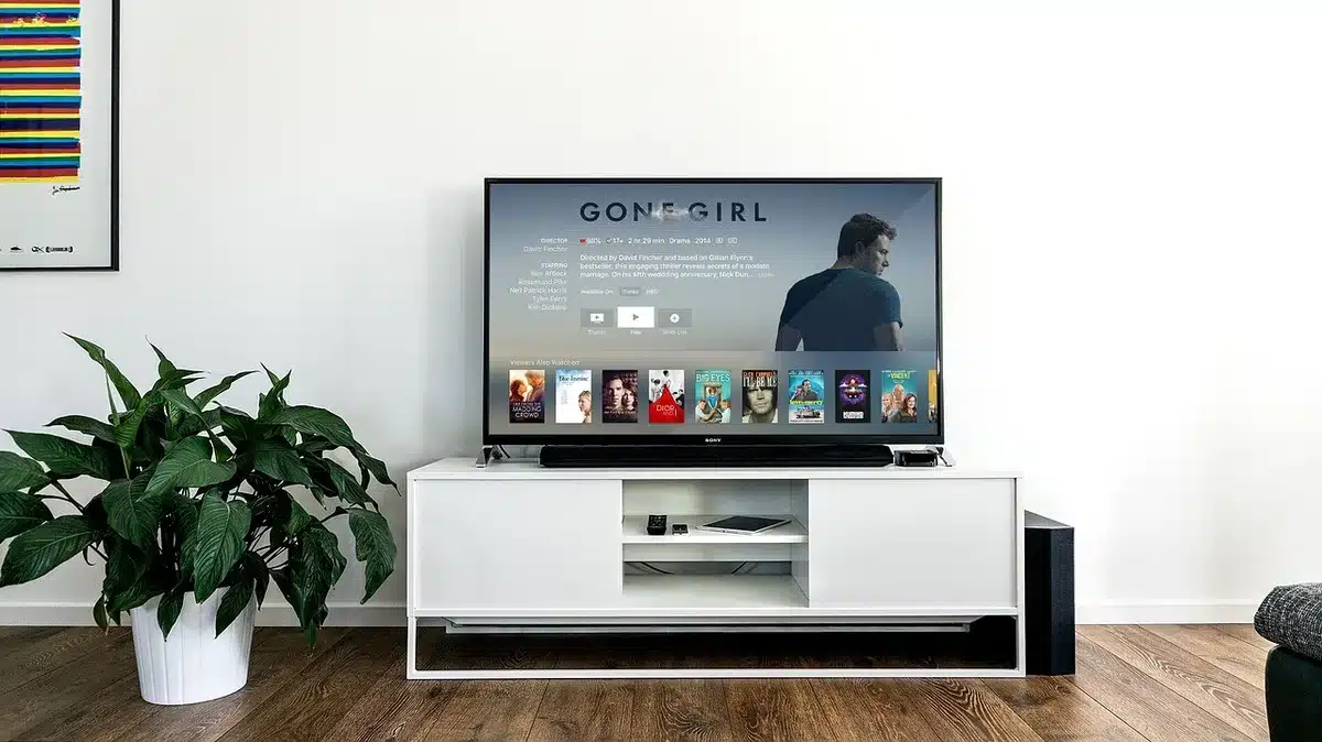 empty living room with a TV screen showing a blurred channel guide, remote on a coffee table