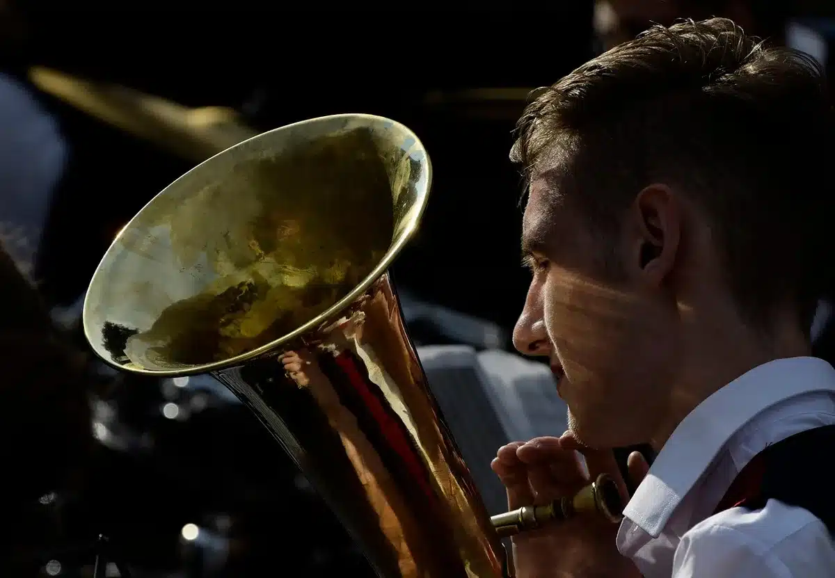 Orquestra em ensaio, cordas e sopros em harmonia