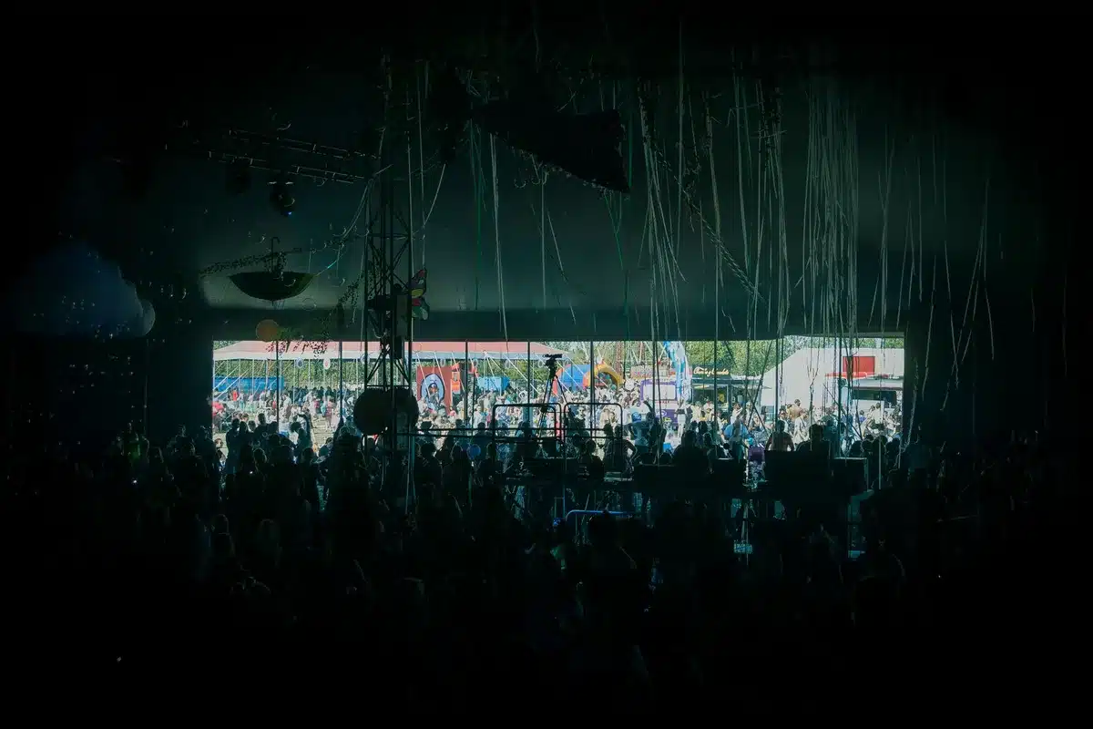 Crowd of anonymous festivalgoers seen from behind under evening lights, arms raised, blurred faces, no logos or identifiable people