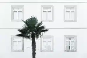 Casa vazia com paredes desgastadas, luz entrando por janela e mãos sobre mesa
