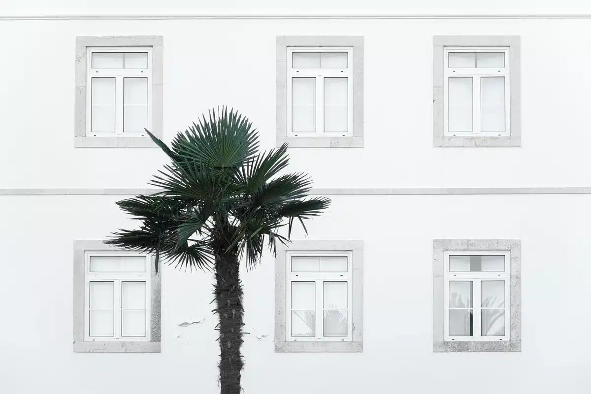 Casa vazia com paredes desgastadas, luz entrando por janela e mãos sobre mesa