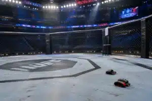Malcolm Wellmaker luta contra Otari Tanzilovi no card do UFC em 10 de outubro