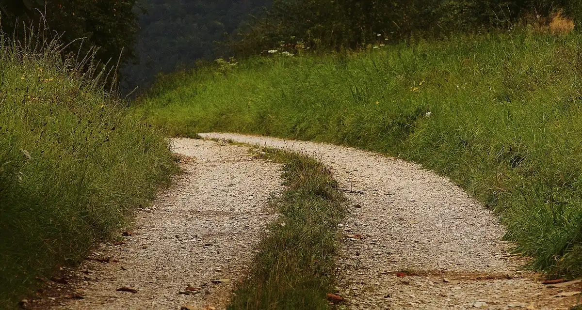 Empty rural dirt road at dusk with a single abandoned cart by the roadside, hinting at an isolated abduction scene