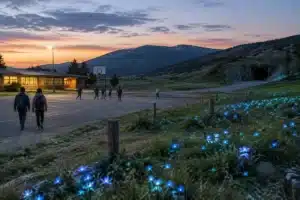 Stranger Things: 2ª Temporada Revoluciona ao Deixar o Mundo Invertido!